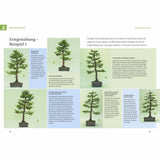 Bonsai ziehen, gestalten und pflegen - Johann Kastner (Buch) - HappySeed