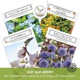 Gänseblümchen Samen - Bellis perennis - HappySeed