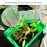 Mini-Gewächshaus inkl. Kokosscheiben in den Maße 16 x 11,5 x 11cm -Made in Germany- - HappySeed