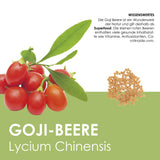 Obst Samen Set mit 6 exotischen Sorten - HappySeed