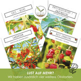 Weiße Erdbeeren Samen - Fragaria (weiß) - HappySeed