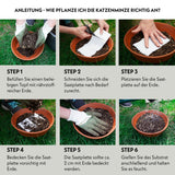 Katzenminze Samen Saatband 80 x 10 cm - Nepeta cataria - HappySeed