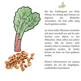 Roter Rhabarber Samen - Rheum rhabarbarum - HappySeed