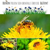 Löwenzahn Samen für Kaninchen - Wildkräuter Saatgut als optimale Futterergänzung - HappySeed