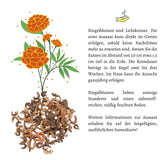 Ringelblumen Samen - Calendula Officinalis (Abendrot) - HappySeed