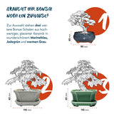Bonsai Schale aus Keramik in Marineblau - 15 x 5,5 x 11 cm - HappySeed