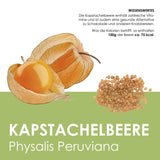 Obst Samen Set mit 6 exotischen Sorten - HappySeed