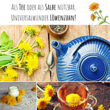 Löwenzahn Samen für Kaninchen - Wildkräuter Saatgut als optimale Futterergänzung - HappySeed