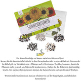 Farbenfrohe Sonnenblumen Samen mit hoher Keimrate - 5er Set - HappySeed