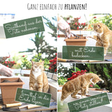 5m Saatband mit Karotten Samen - Nantaise 2 - Daucus carota - HappySeed