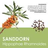 Obst Samen Set mit 6 exotischen Sorten - HappySeed