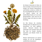 Löwenzahn Samen für Kaninchen - Wildkräuter Saatgut als optimale Futterergänzung - HappySeed