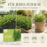 Aromatische Salatrauke mit nussigem Geschmack, erntereife Rucola Blätter
