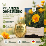 Aussaatanleitung für Kalifornischen Mohn mit Saattiefe, Direktsaat und Blütezeit
