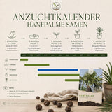 Aussaatanleitung für Palmensamen mit Vorquellen, Keimtemperatur und Keimdauer