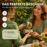 Biene auf dem Blütenkorb der Sonnenblume, bienenfreundliche Blumensamen