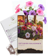 Blumensamen Balkonkasten Mischung Petunien Mix von HappySeed im umweltschonenden Samenpäckchen