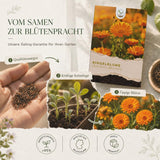 Ringelblumen Samen - Calendula Officinalis (Gelb/Orange) - HappySeed