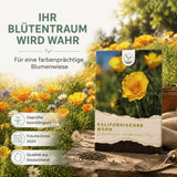 Eschscholzia californica Saatgut in Nahaufnahme, feine Mohnsamen mit hoher Keimrate