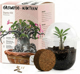GROW2GO Kakteen Starter Kit Anzuchtset mit Mini-Gewächshaus, Kaktus Samen und Erde