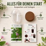 Inhalt des Mimose Anzuchtsets: Becher-Gewächshaus, Mimosa Pudica Samen, Kokos-Erdscheibe und Anleitung
