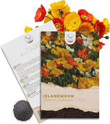Islandmohn Samen Mix Papaver nudicaule von HappySeed im umweltschonenden Samenpäckchen