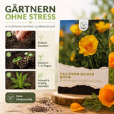 Kalifornischer Mohn Samen Mix mit Blüten in Orange, Gelb, Rosa und Weiß