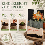 Lebender Granit mit dicken, grau-grünen Blattpaaren in charakteristischer Steinoptik