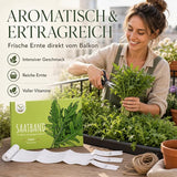 Nahaufnahme der Rucola Samen im Saatband, Eruca sativa Saatgut aus Deutschland