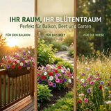 Petunien Saatgut in Nahaufnahme, feine Blumensamen mit hoher Keimrate