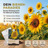 Sonnenblumenkerne als Saatgut in Nahaufnahme, Blumensamen mit hoher Keimrate