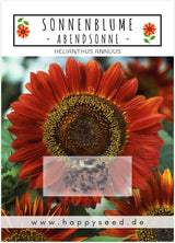 Sonnenblumen Samen Abendsonne von HappySeed mit 20 Korn im umweltschonenden Samenpäckchen