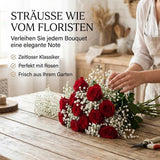Weiße Blütenwolke des Schleierkrauts in Nahaufnahme