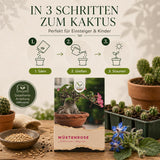 Wüstenrose mit verdicktem Caudex-Stamm und ledrigen, glänzenden Blättern