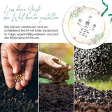 Reagenzgläser mit Blumensamen als Gastgeschenke zur Hochzeit