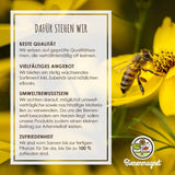 Reagenzgläser mit Blumensamen als Gastgeschenke zur Hochzeit