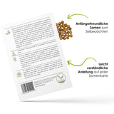 Felsenkirsche Samen - Prunus mahaleb (Bonsai) - HappySeed