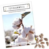 Topfbaumwoll Samen - Gossypium Herbaceum - HappySeed