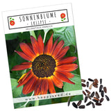 Sonnenblumen Samen - Helianthus annuus (Eklipse) - HappySeed