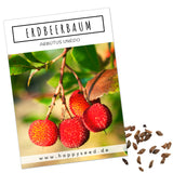 Erdbeerbaum Samen - Arbutus unedo - HappySeed