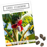 Große Essbanane Samen - Musa x paradisiaca - HappySeed