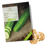 BIO Gurken Samen (Marketmore) - Salatgurke Saatgut aus biologischem Anbau (10 Korn) - HappySeed