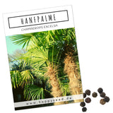 Hanfpalme Samen - Chamaerops excelsa - HappySeed