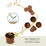 Bonsai Starter Kit inkl. eBook - Pflanzset aus Kokostöpfen, Samen & Erde (Afrikanischer Blauregen + Australische Kiefer) - HappySeed