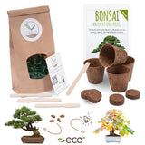 Bonsai Starter Kit inkl. eBook - Pflanzset aus Kokostöpfen, Samen & Erde (Mittelmeer Pinie + Amerikanischer Amberbaum) - HappySeed