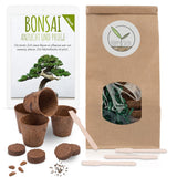 Bonsai Starter Kit inkl. eBook - Pflanzset aus Kokostöpfen, Samen & Erde (Mittelmeer Pinie + Amerikanischer Amberbaum) - HappySeed