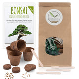 Bonsai Starter Kit inkl. eBook - Pflanzset aus Kokostöpfen, Samen & Erde (Wüstenrose + Berg Mammutbaum) - HappySeed