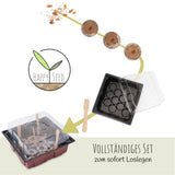 Bonsai Starter Kit inkl. GRATIS eBook & Gewächshaus (Australische Kiefer + Ölbaum) - HappySeed