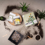 Kakteen Starter Kit - Mini-Gewächshaus, Erde & Samen (Madagascar Palme + Tigerrachen) - HappySeed