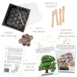 Bonsai Starter Kit inkl. GRATIS eBook & Gewächshaus (Afrikanischer Blauregen + Zwerg-Granatapfel) - HappySeed